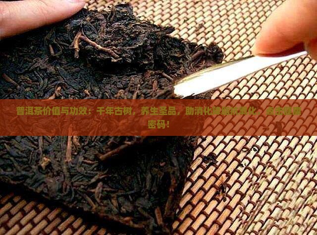 普洱茶价值与功效