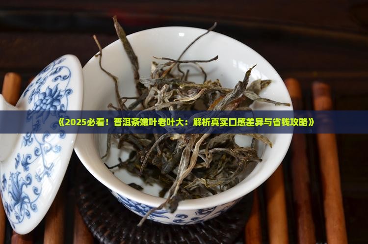 普洱茶嫩叶和老叶什么区别