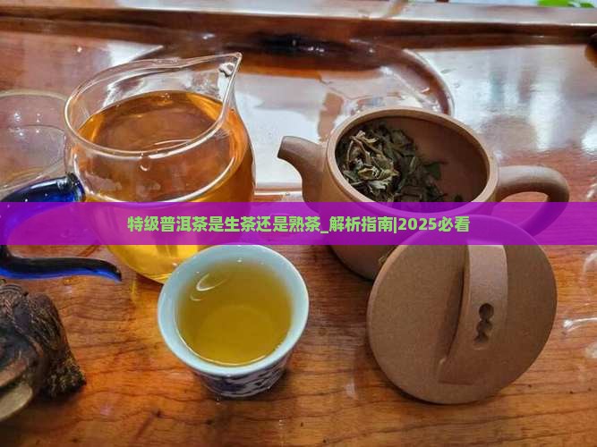 特级普洱茶是生茶还是熟茶