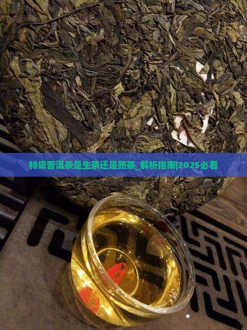 特级普洱茶是生茶还是熟茶