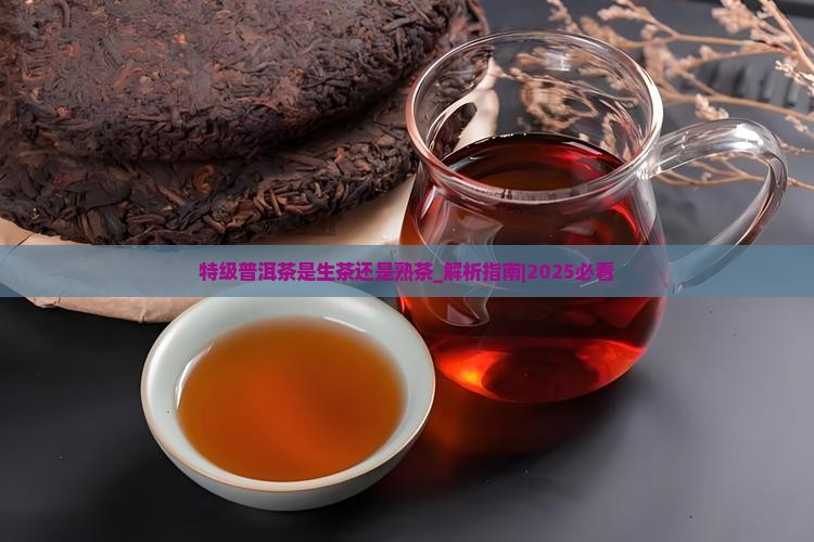 特级普洱茶是生茶还是熟茶