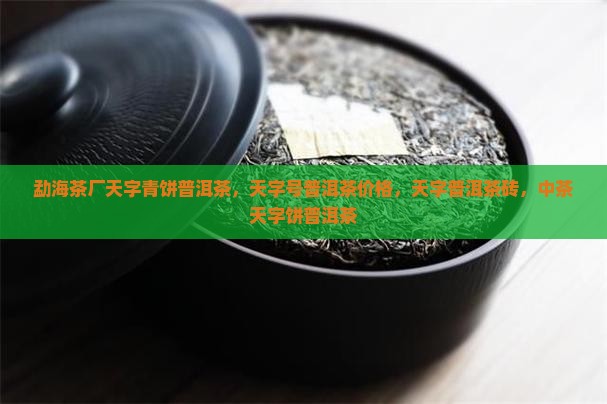 勐海茶厂天字青饼普洱茶