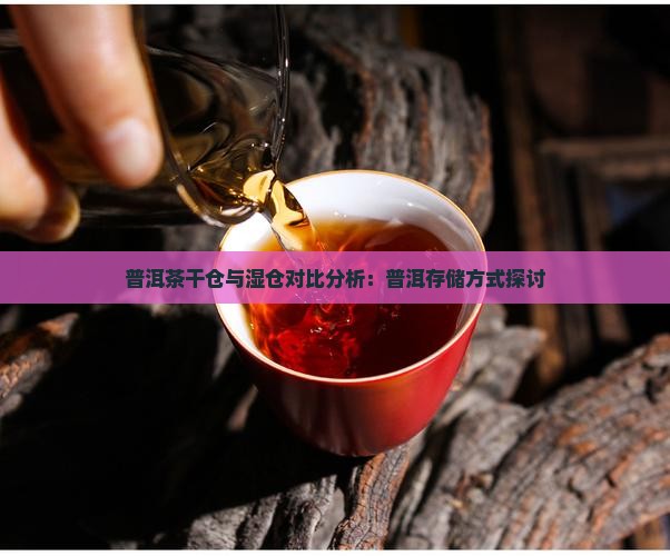 普洱茶干湿对比分析