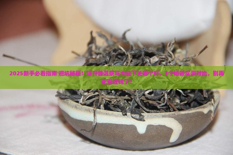陈升普洱茶与大益下关哪个好