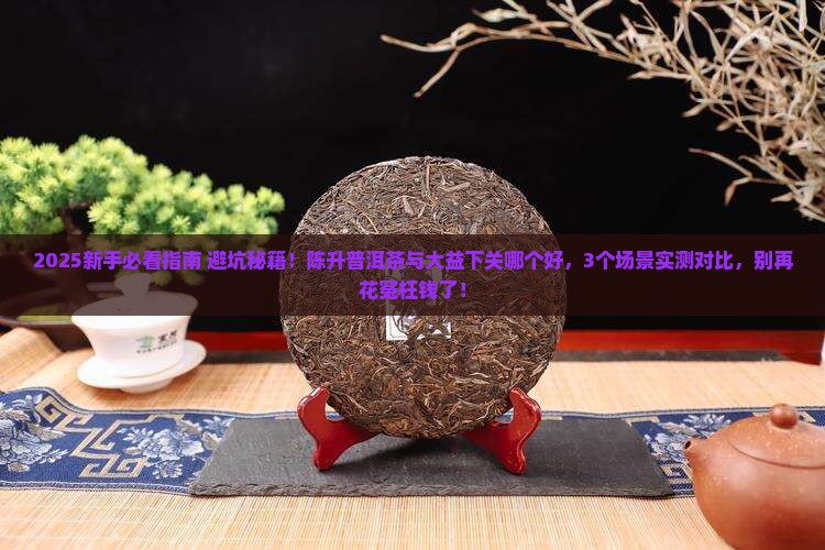 陈升普洱茶与大益下关哪个好