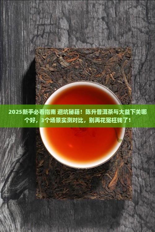 陈升普洱茶与大益下关哪个好