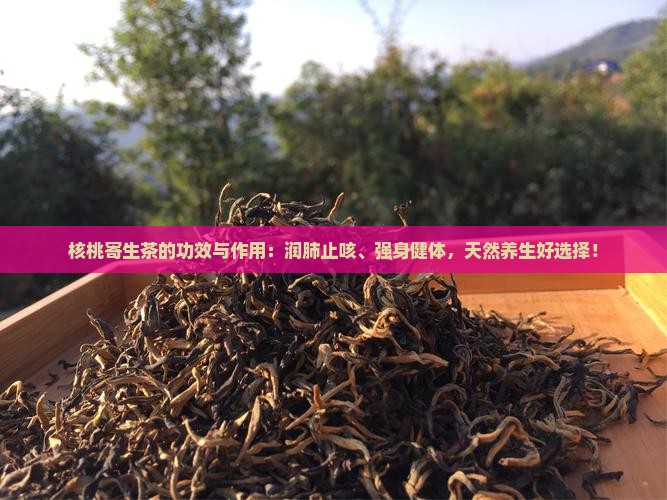 核桃寄生茶的功效与作用