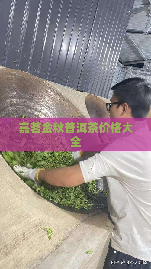 嘉茗金秋2009普洱茶