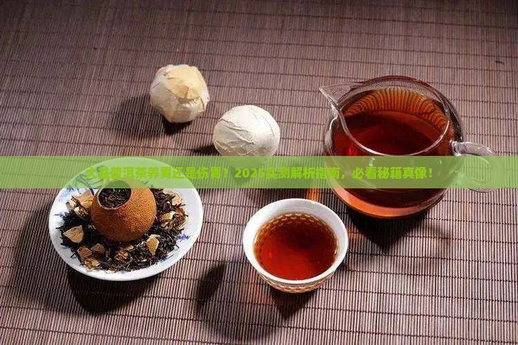 大益普洱茶养胃还是伤胃