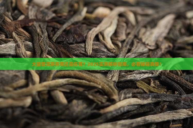 大益普洱茶养胃还是伤胃
