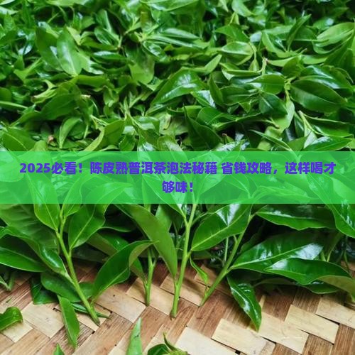 陈皮加熟普洱茶怎么泡