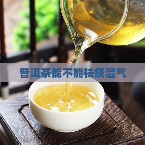 普洱茶能不能祛痰湿气