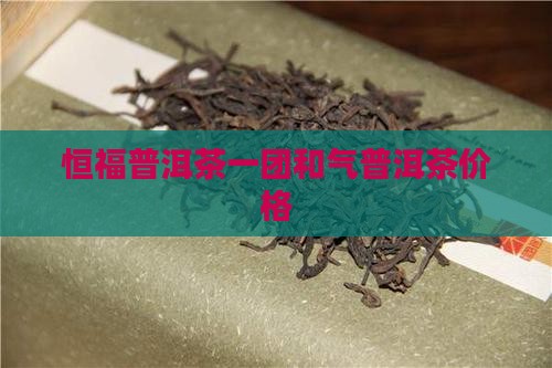 恒福普洱茶一团和气价格