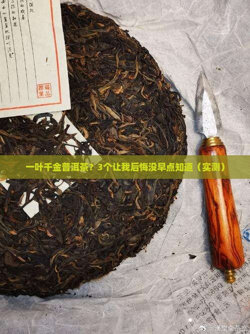 一叶千金普洱茶