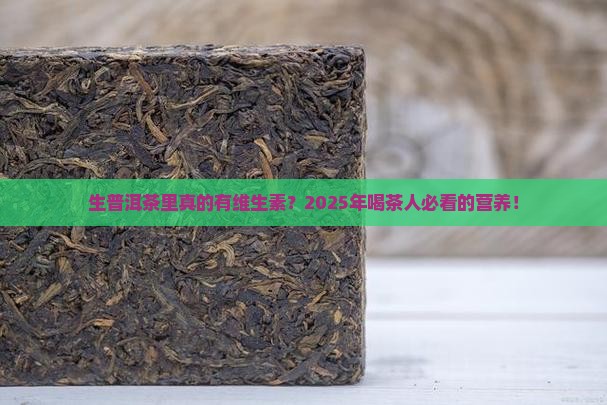 普洱的生普洱茶中有维生素