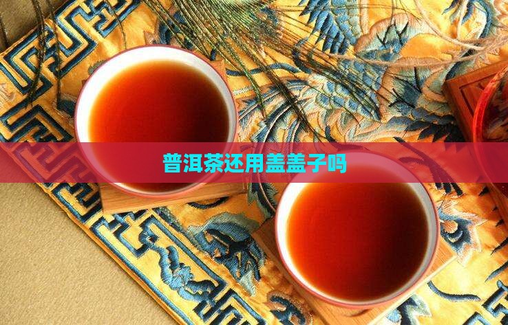 普洱茶还用盖盖子吗