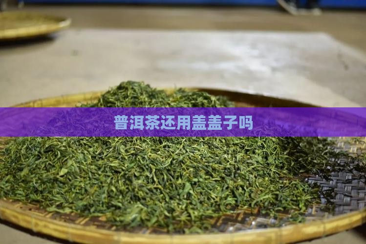 普洱茶还用盖盖子吗