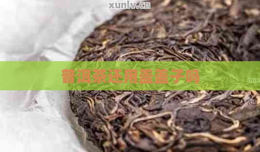 普洱茶还用盖盖子吗