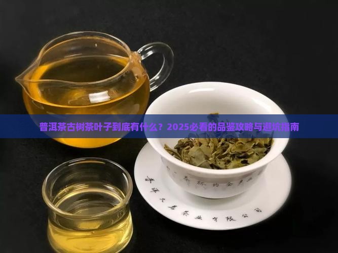 普洱茶古树茶叶子