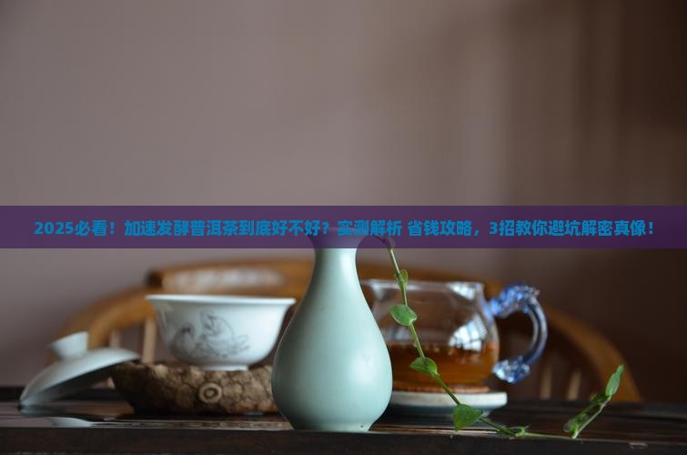 加速发酵的普洱茶好不好