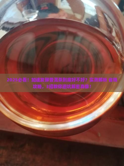 加速发酵的普洱茶好不好