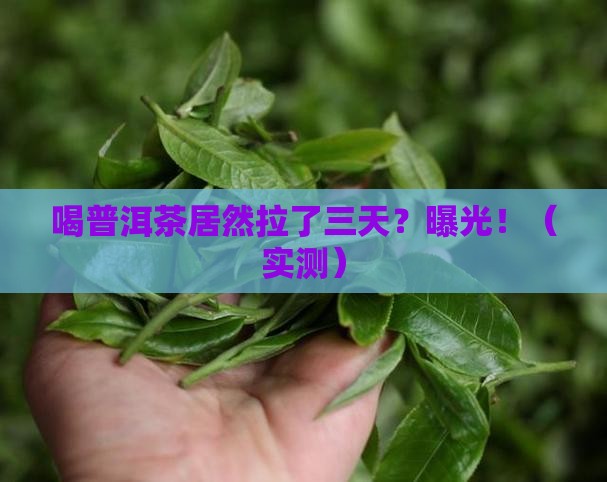 喝普洱茶连拉三天 喝普洱茶连拉三天