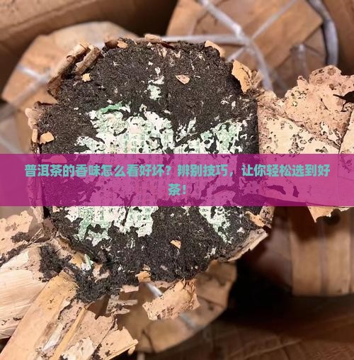 普洱茶的香味怎么看好坏
