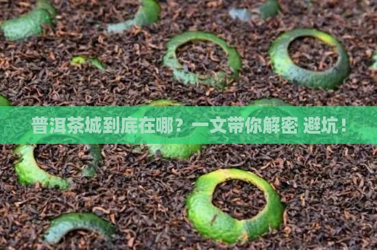 普洱茶城属于哪个地方