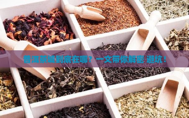 普洱茶城属于哪个地方