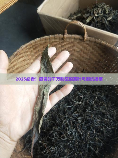 感冒不能喝哪种茶叶