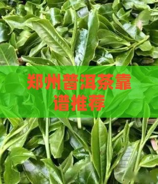 郑州靠谱的普洱茶