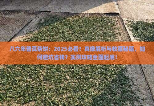 八六年普洱茶饼