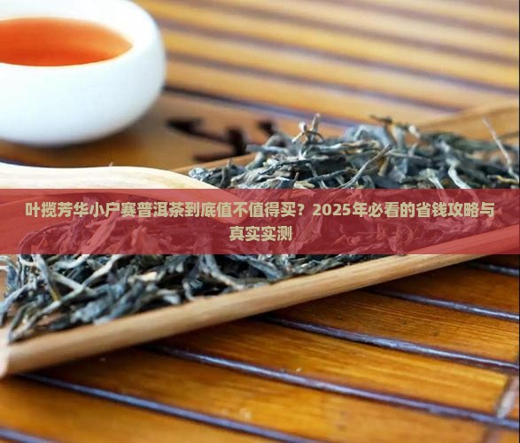 叶揽芳华小户赛普洱茶价格