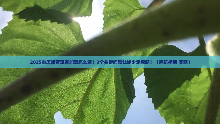 重庆熟普洱茶渠道招商加盟