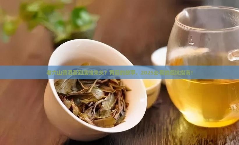 普洱茶老六山啥意思