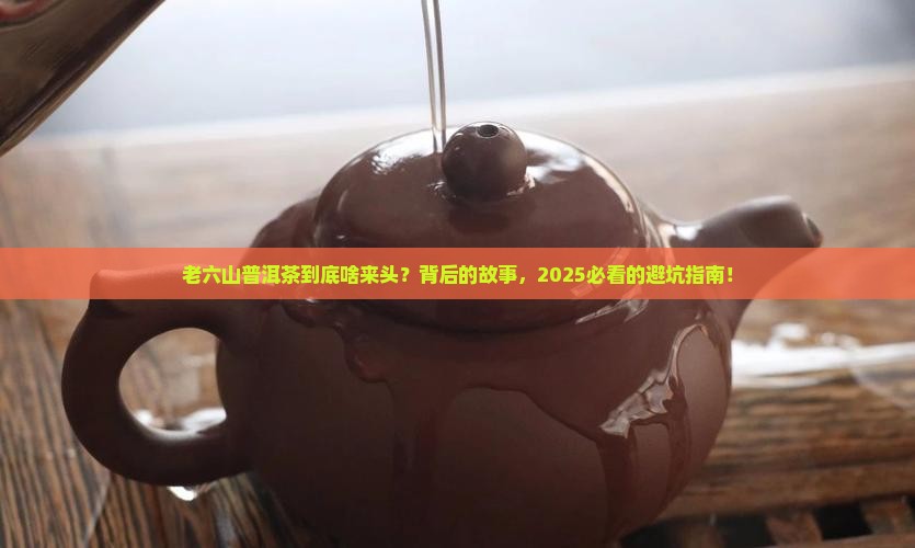 普洱茶老六山啥意思