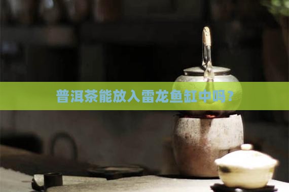 普洱茶可以倒雷龙鱼缸里吗