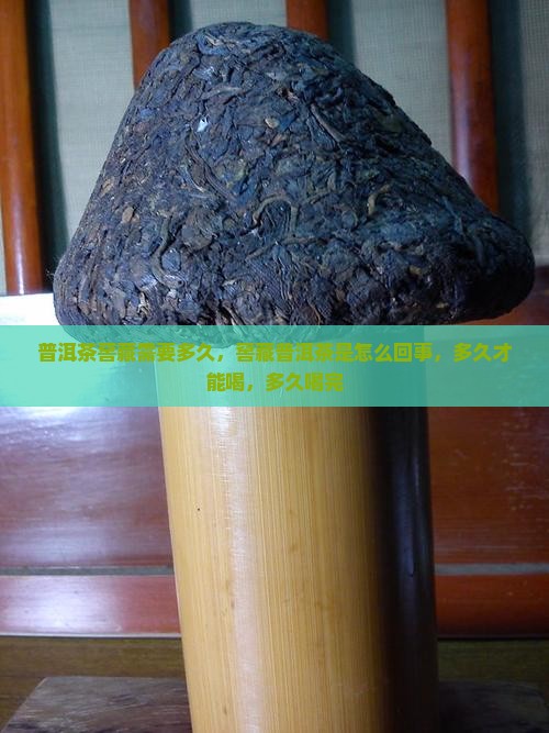 普洱茶窖藏需要多久