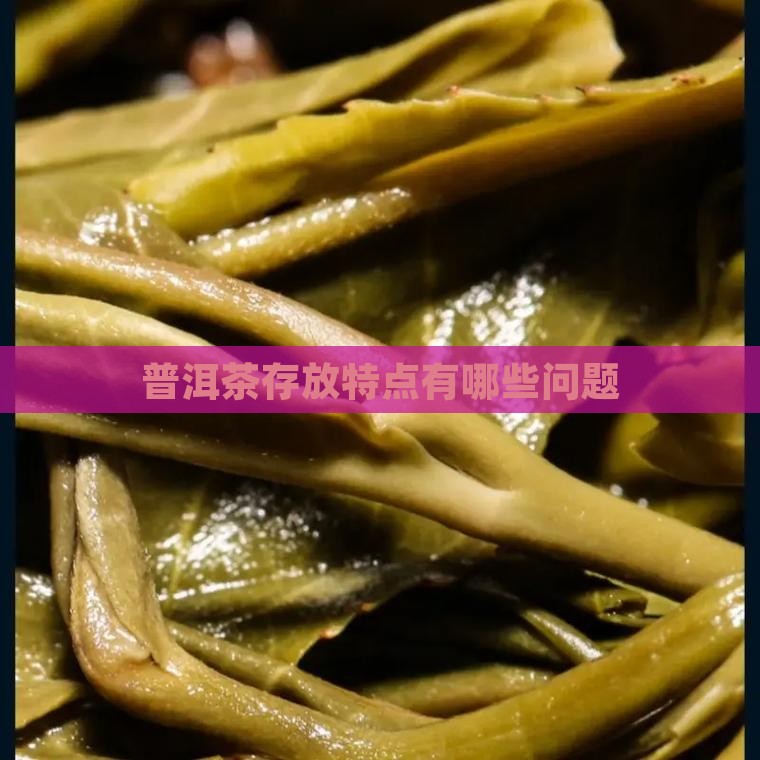 普洱茶存放特点是哪些问题