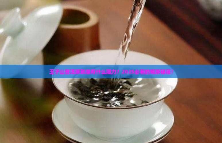 王子山普洱茶的特点