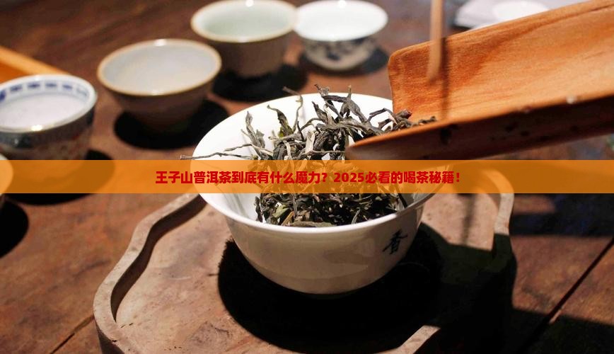 王子山普洱茶的特点
