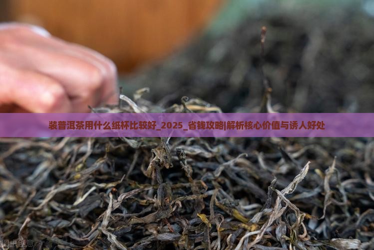 装普洱茶用什么纸杯比较好