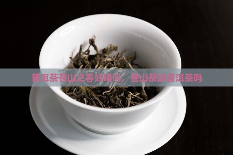 普洱茶苍山之春