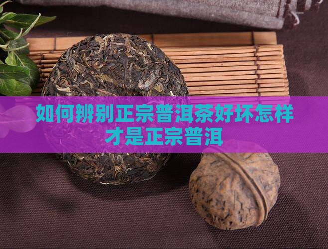 如何辨别正宗的普洱茶好坏