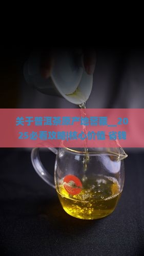 关于普洱茶原产地窖藏