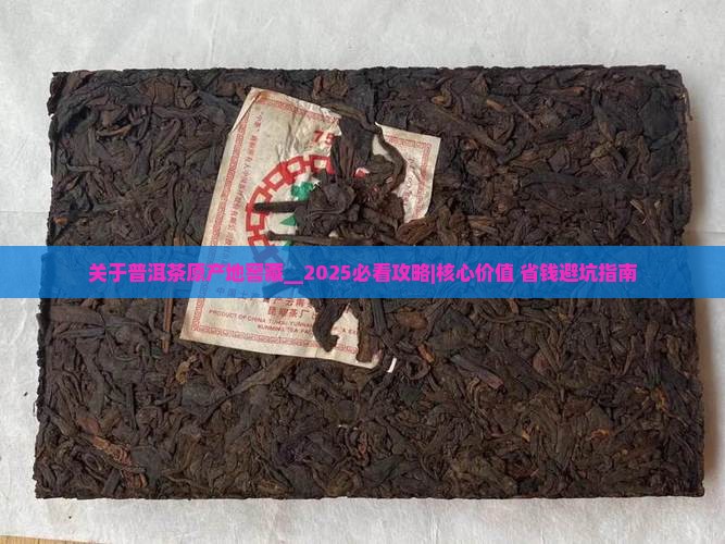 关于普洱茶原产地窖藏