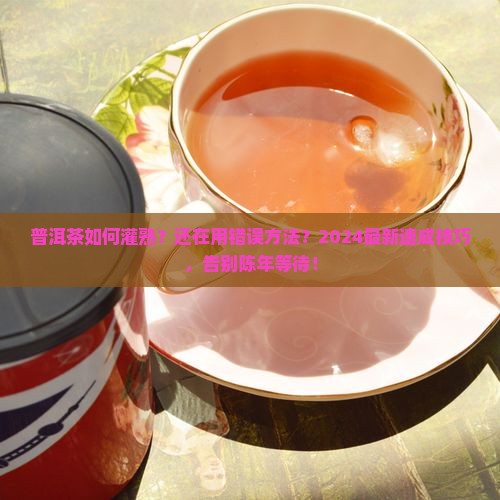 普洱茶如何灌熟