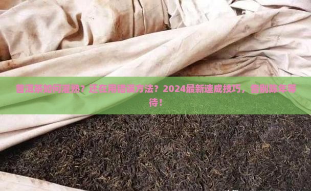 普洱茶如何灌熟