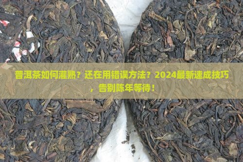 普洱茶如何灌熟