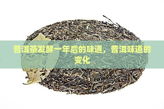 普洱茶发酵一年后的味道